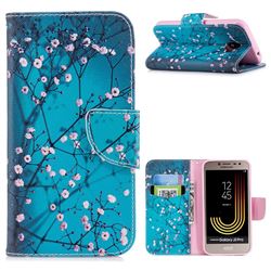 Blue Plum Leather Wallet Case for Samsung Galaxy J2 Pro (2018)