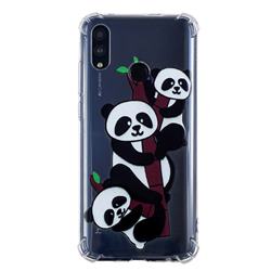 Three Pandas Anti-fall Clear Varnish Soft TPU Back Cover for Huawei Honor 10 Lite