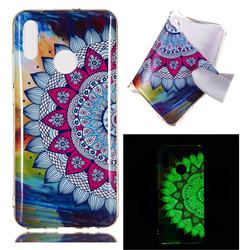 Colorful Sun Flower Noctilucent Soft TPU Back Cover for Huawei Honor 10 Lite