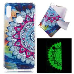 Colorful Sun Flower Noctilucent Soft TPU Back Cover for Huawei Y6 (2019)