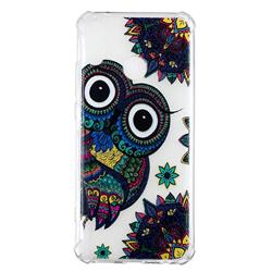 Owl Totem Anti-fall Clear Varnish Soft TPU Back Cover for Huawei Y9 (2019)