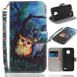 Oil Painting Owl Hand Strap Leather Wallet Case for Motorola Moto E4(Europe)