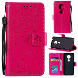 Embossing Cherry Blossom Cat Leather Wallet Case for Motorola Moto E5 - Rose