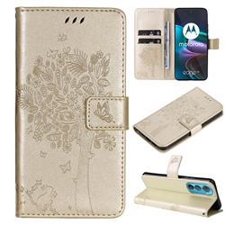 Embossing Butterfly Tree Leather Wallet Case for Motorola Edge 30 - Champagne