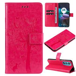 Embossing Butterfly Tree Leather Wallet Case for Motorola Edge 30 - Rose