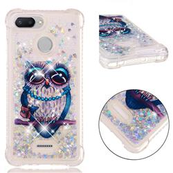 Sweet Gray Owl Dynamic Liquid Glitter Sand Quicksand Star TPU Case for Mi Xiaomi Redmi 6A