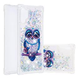 Sweet Gray Owl Dynamic Liquid Glitter Sand Quicksand Star TPU Case for Samsung Galaxy Note 10+ (6.75 inch) / Note10 Plus