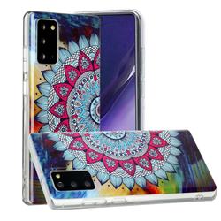 Colorful Sun Flower Noctilucent Soft TPU Back Cover for Samsung Galaxy Note 20