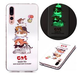 Cute Cat Noctilucent Soft TPU Back Cover for Huawei P20 Pro
