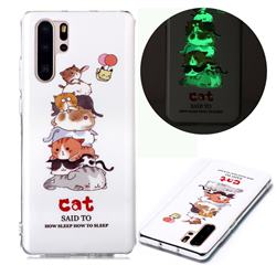 Cute Cat Noctilucent Soft TPU Back Cover for Huawei P30 Pro