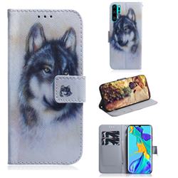 Snow Wolf PU Leather Wallet Case for Huawei P30 Pro