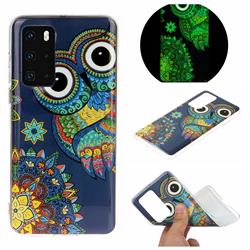 Tribe Owl Noctilucent Soft TPU Back Cover for Huawei P40