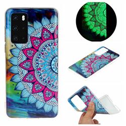 Colorful Sun Flower Noctilucent Soft TPU Back Cover for Huawei P40