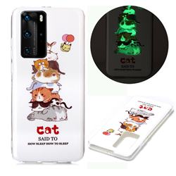 Cute Cat Noctilucent Soft TPU Back Cover for Huawei P40 Pro