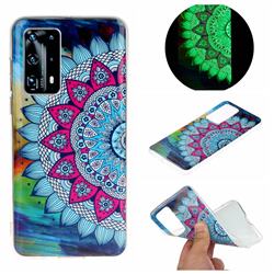 Colorful Sun Flower Noctilucent Soft TPU Back Cover for Huawei P40 Pro