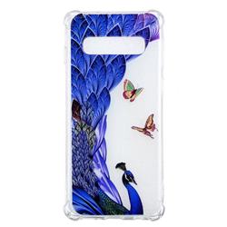Peacock Butterfly Anti-fall Clear Varnish Soft TPU Back Cover for Samsung Galaxy S10 (6.1 inch)