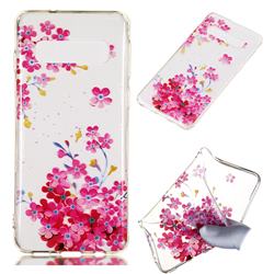 Plum Blossom Bloom Super Clear Soft TPU Back Cover for Samsung Galaxy S10 (6.1 inch)