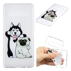 Selfie Dog Clear Varnish Soft Phone Back Cover for Samsung Galaxy S10 (6.1 inch)