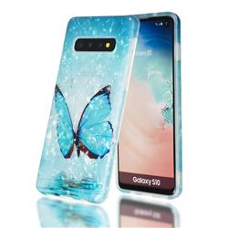 Sea Blue Butterfly Shell Pattern Clear Bumper Glossy Rubber Silicone Phone Case for Samsung Galaxy S10 (6.1 inch)