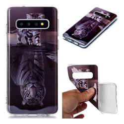Cat and Tiger Soft TPU Cell Phone Back Cover for Samsung Galaxy S10 (6.1 inch)