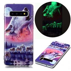 Wolf Howling Noctilucent Soft TPU Back Cover for Samsung Galaxy S10 (6.1 inch)