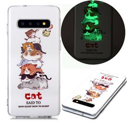 Cute Cat Noctilucent Soft TPU Back Cover for Samsung Galaxy S10 (6.1 inch)