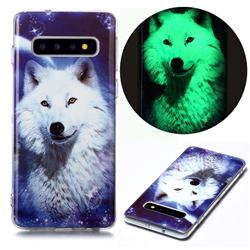 Galaxy Wolf Noctilucent Soft TPU Back Cover for Samsung Galaxy S10 (6.1 inch)
