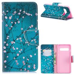 Blue Plum Leather Wallet Case for Samsung Galaxy S10 (6.1 inch)