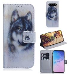 Snow Wolf PU Leather Wallet Case for Samsung Galaxy S10 (6.1 inch)
