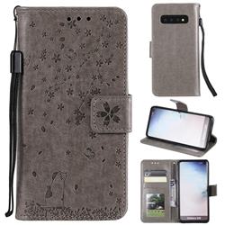 Embossing Cherry Blossom Cat Leather Wallet Case for Samsung Galaxy S10 (6.1 inch) - Gray