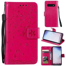 Embossing Cherry Blossom Cat Leather Wallet Case for Samsung Galaxy S10 (6.1 inch) - Rose