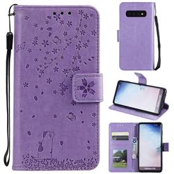 Embossing Cherry Blossom Cat Leather Wallet Case for Samsung Galaxy S10 (6.1 inch) - Purple