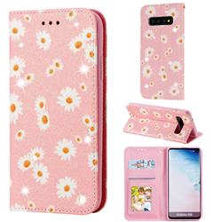 Ultra Slim Daisy Sparkle Glitter Powder Magnetic Leather Wallet Case for Samsung Galaxy S10 (6.1 inch) - Pink