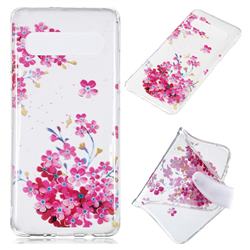 Plum Blossom Bloom Super Clear Soft TPU Back Cover for Samsung Galaxy S10 5G (6.7 inch)
