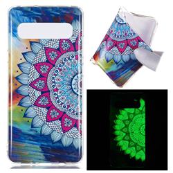 Colorful Sun Flower Noctilucent Soft TPU Back Cover for Samsung Galaxy S10 5G (6.7 inch)