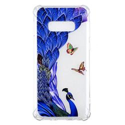 Peacock Butterfly Anti-fall Clear Varnish Soft TPU Back Cover for Samsung Galaxy S10e(5.8 inch)