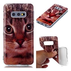 Garfield Cat Soft TPU Cell Phone Back Cover for Samsung Galaxy S10e (5.8 inch)