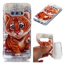 Cute Tiger Baby Soft TPU Cell Phone Back Cover for Samsung Galaxy S10e (5.8 inch)
