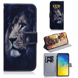 Lion Face PU Leather Wallet Case for Samsung Galaxy S10e (5.8 inch)