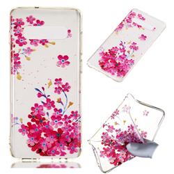 Plum Blossom Bloom Super Clear Soft TPU Back Cover for Samsung Galaxy S10 Plus(6.4 inch)