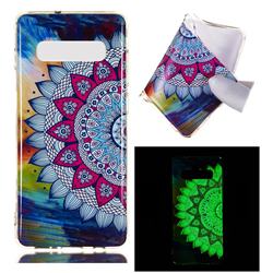 Colorful Sun Flower Noctilucent Soft TPU Back Cover for Samsung Galaxy S10 Plus(6.4 inch)
