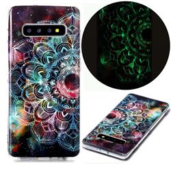 Datura Flowers Noctilucent Soft TPU Back Cover for Samsung Galaxy S10 Plus(6.4 inch)