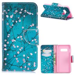 Blue Plum Leather Wallet Case for Samsung Galaxy S10 Plus(6.4 inch)
