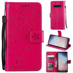 Embossing Cherry Blossom Cat Leather Wallet Case for Samsung Galaxy S10 Plus(6.4 inch) - Rose