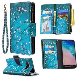 Blue Plum Binfen Color BF03 Retro Zipper Leather Wallet Phone Case for Samsung Galaxy S10 Plus(6.4 inch)