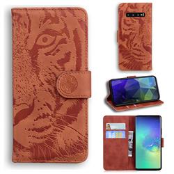 Intricate Embossing Tiger Face Leather Wallet Case for Samsung Galaxy S10 Plus(6.4 inch) - Brown