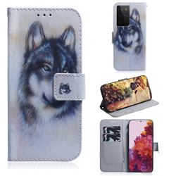 Snow Wolf PU Leather Wallet Case for Samsung Galaxy S21 Ultra / S30 Ultra