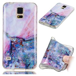 Purple Amber Soft TPU Marble Pattern Phone Case for Samsung Galaxy S5 G900