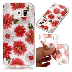 Red Daisy Super Clear Flash Powder Shiny Soft TPU Back Cover for Samsung Galaxy S6 G920