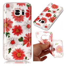 Red Daisy Super Clear Flash Powder Shiny Soft TPU Back Cover for Samsung Galaxy S7 G930